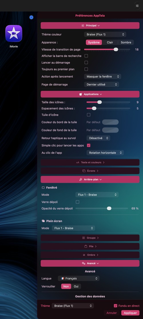 Panneau de préférences d'AppTela montrant les options de personnalisation
